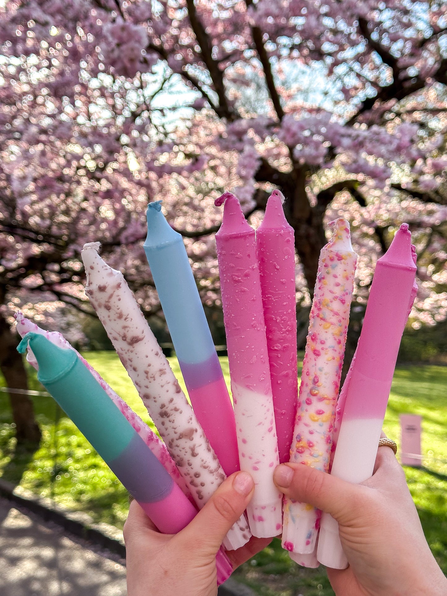 Cherry Blossom, Sakura Candles Box