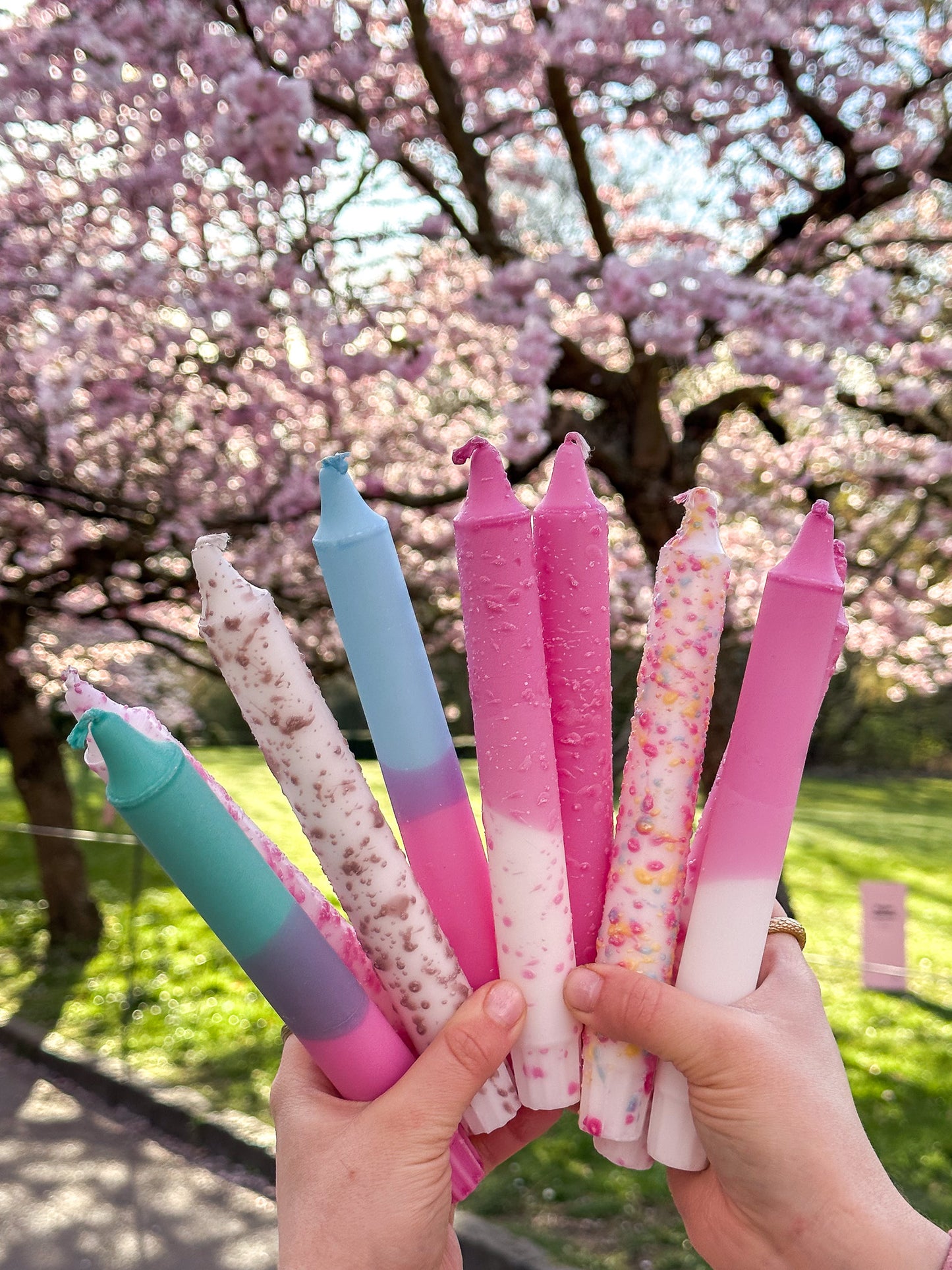 Cherry Blossom, Sakura Candles Box