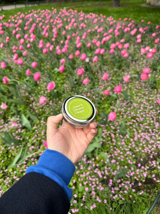 Soy Scented Candle, Lime & Brown Sugar M-L-XL size